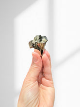Load image into Gallery viewer, Pyrite Cluster 07