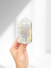 Load image into Gallery viewer, Agate Point 20