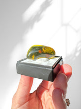 Load image into Gallery viewer, Green Amber Ethiopian Polished Specimen Piece