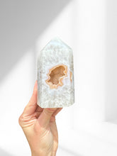 Load image into Gallery viewer, Agate Point 06
