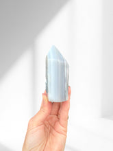 Load image into Gallery viewer, Agate Point 15