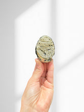 Load image into Gallery viewer, Pyrite Egg 03