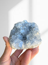 Load image into Gallery viewer, Celestite Cluster 05