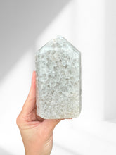 Load image into Gallery viewer, Agate Point 23