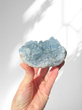 Load image into Gallery viewer, Celestite Cluster 02