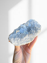 Load image into Gallery viewer, Celestite Cluster 03