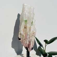 Load image into Gallery viewer, Watermelon Tourmaline Matrix | Gallery Piece 9.6kg