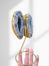 Load image into Gallery viewer, Agate Geode Wings on Stand 08

