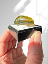 Load image into Gallery viewer, Green Amber Ethiopian Polished Specimen Piece
