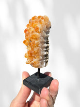 Load image into Gallery viewer, Citrine Cluster on stand 02
