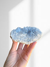 Load image into Gallery viewer, Celestite Cluster 03
