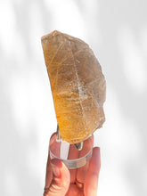 Load image into Gallery viewer, Golden Rutilated Quartz Cluster on stand 05
