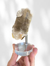 Load image into Gallery viewer, Golden Rutilated Quartz Cluster on stand 03
