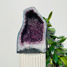 Load image into Gallery viewer, Amethyst Geode | 37.62 kg
