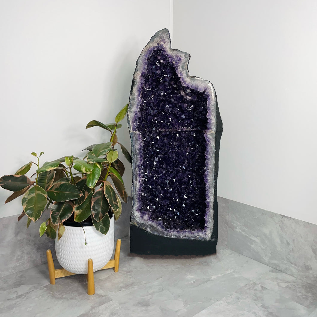 Amethyst Geode | 170 kg