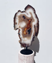 Load image into Gallery viewer, Brown Agate Slice | Statement Piece
